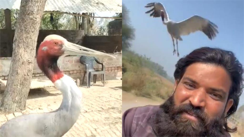 仙鶴傷癒賴上恩人!「騎車伴飛」超靈性網看傻