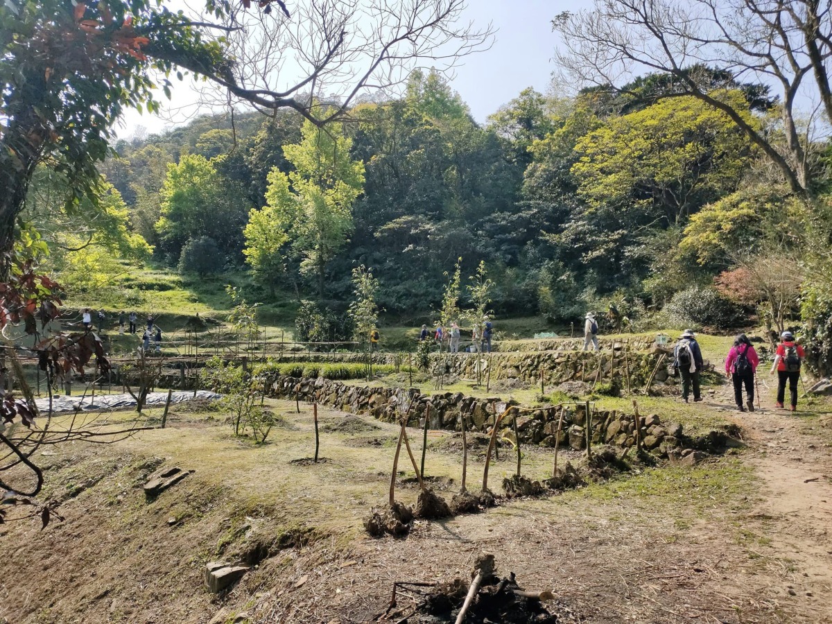 【桃園文選】漫步暖東峽谷 拍拍滿懷都是春 3 2