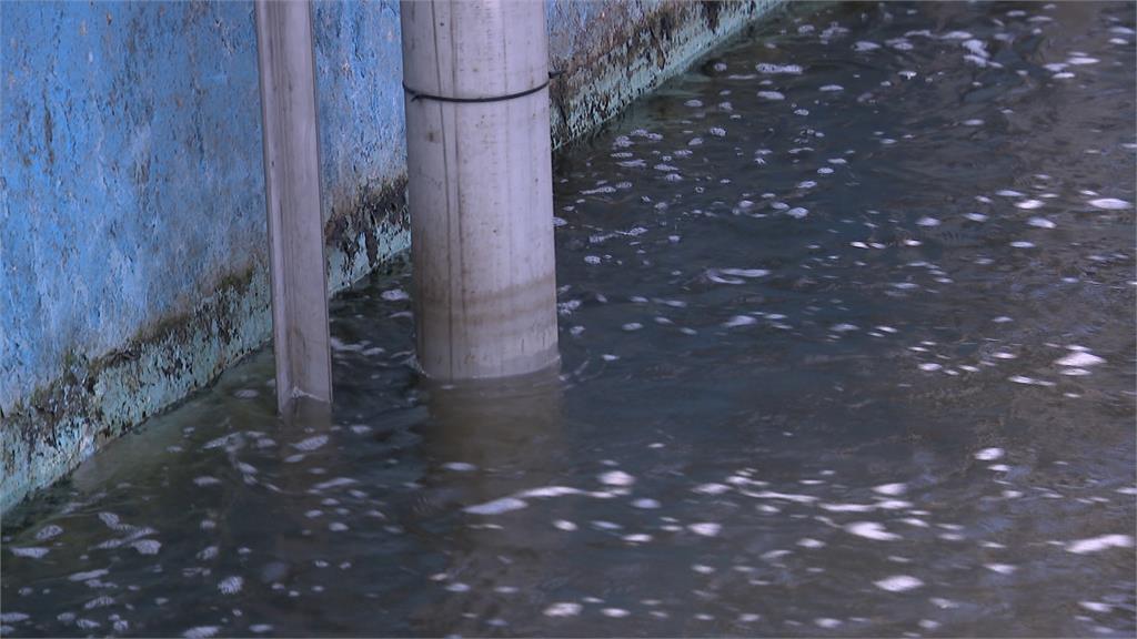 缺水危機水費漲?王美花:目前沒有規劃調漲