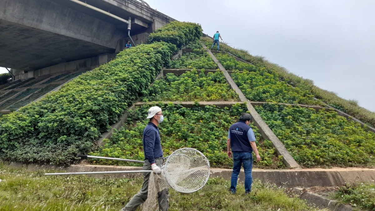 狒狒去哪兒?桃園市府組「抓狒戰情室」 今晚鎖定這地區搜尋 352839