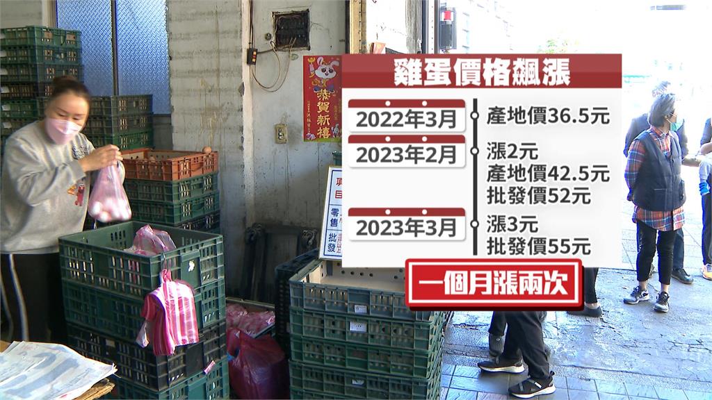 蛋價又漲3元!農委會:尊重市場機制、持續進口