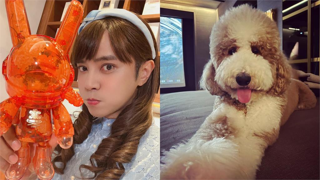 羅志祥愛犬見「朱碧石」崩潰吠叫!嚇到漏尿狂逃