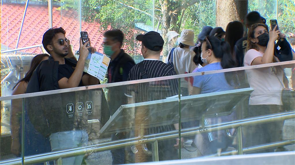 外國自由行5千+普發6千元 雙重國籍爽領1萬1?