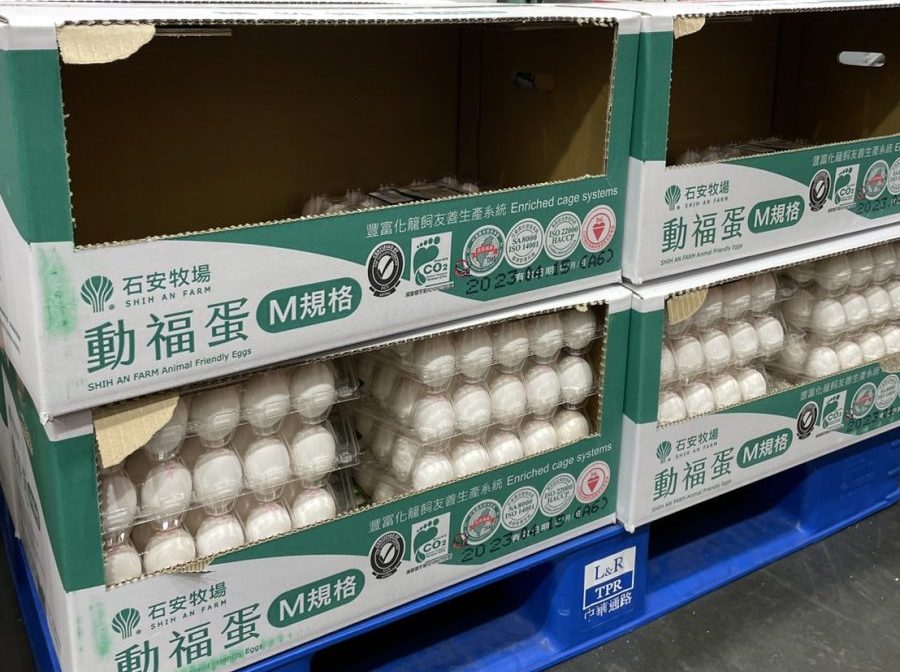鬧蛋荒!雞蛋保存不易 桃園農業局籲勿大量囤貨