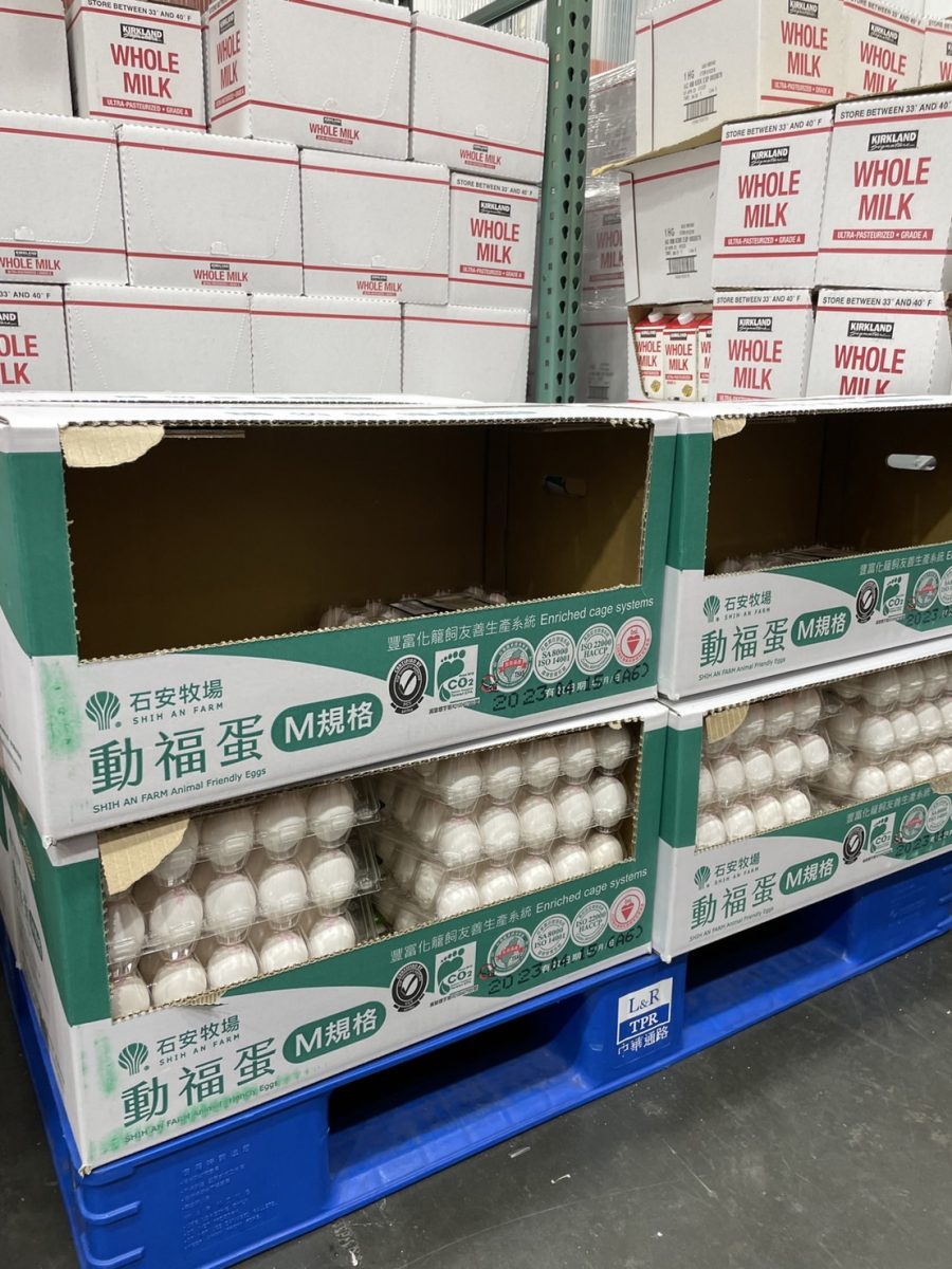 鬧蛋荒!雞蛋保存不易 桃園農業局籲勿大量囤貨 S 8405072 scaled