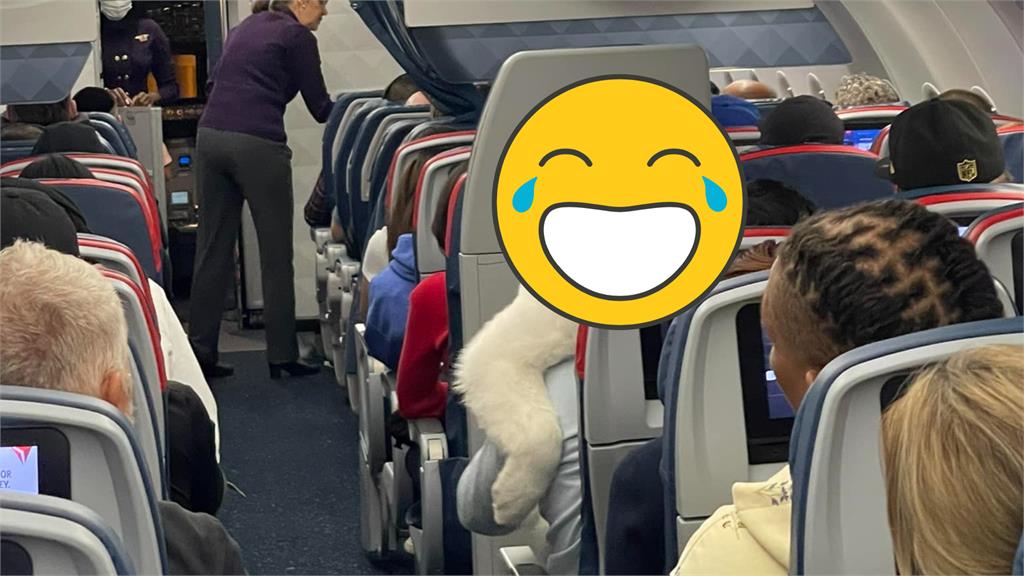 飛機上驚見「北極熊」出沒?真相曝光融化全場