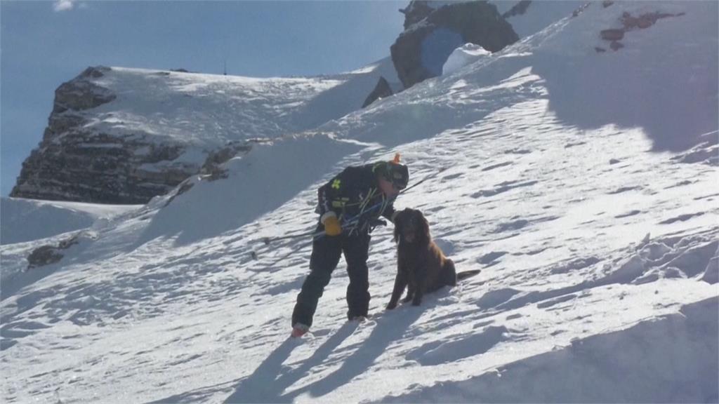 阿爾卑斯山上「汪汪救援隊」! 搜救犬培訓中