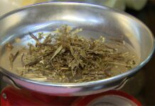 驚蟄回暖易「春困」 中醫建議飲食清淡少坐多動