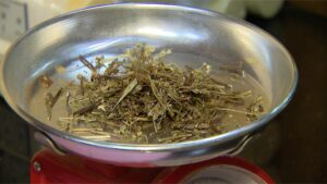 驚蟄回暖易「春困」 中醫建議飲食清淡少坐多動