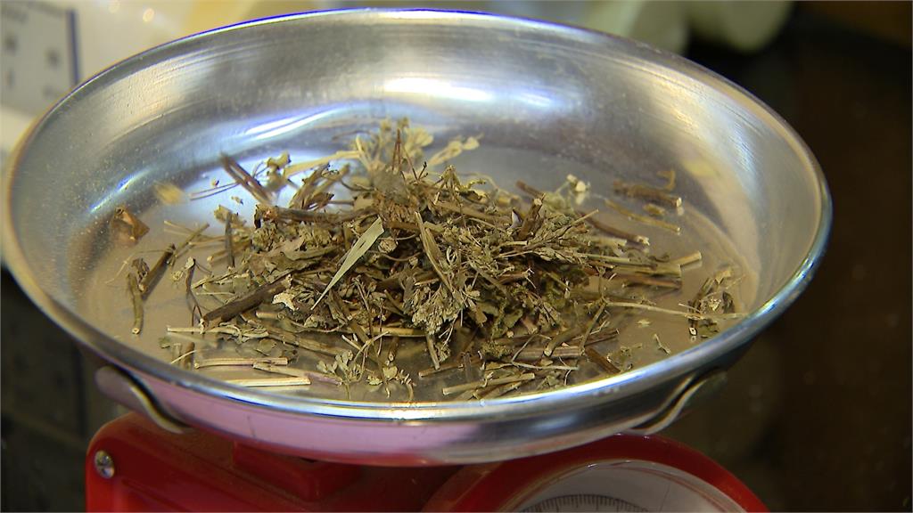 驚蟄回暖易「春困」 中醫建議飲食清淡少坐多動