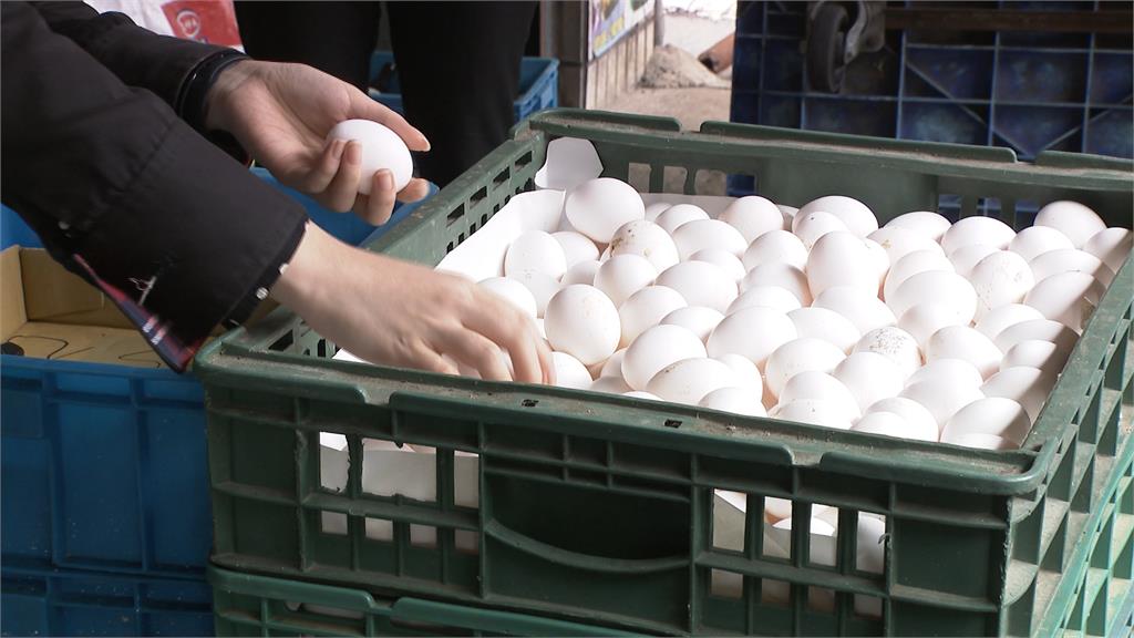 達成協議不休市 下週雞蛋仍維持批發價55元