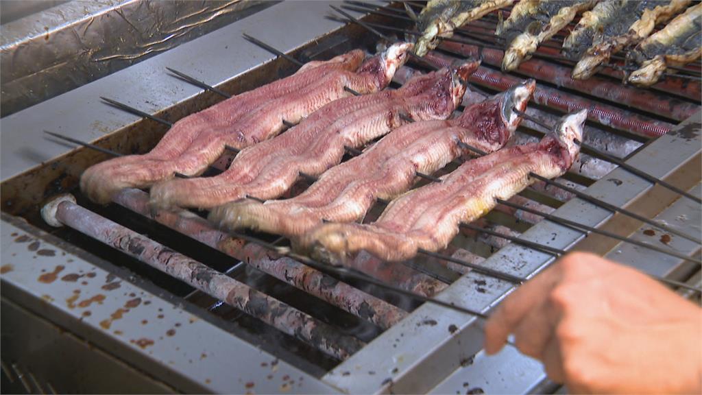 鰻魚王國放養量創新低 盛夏一公斤恐破千元