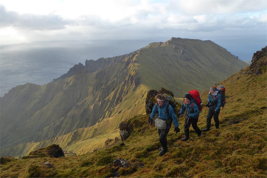 世界最偏遠小島徵人!「年薪百萬」工作內容曝光