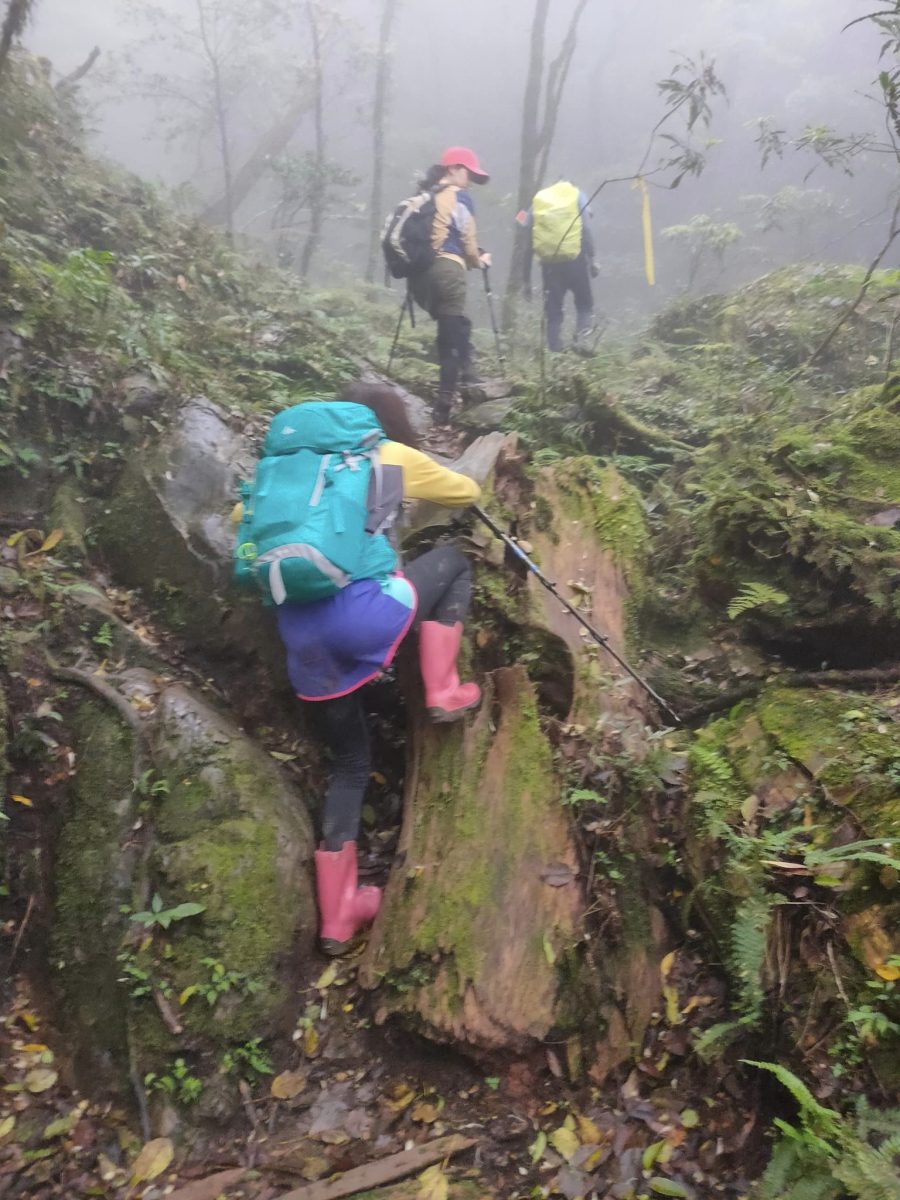 【桃園文選】探索北插天山 欣賞山毛櫸之美 17 scaled