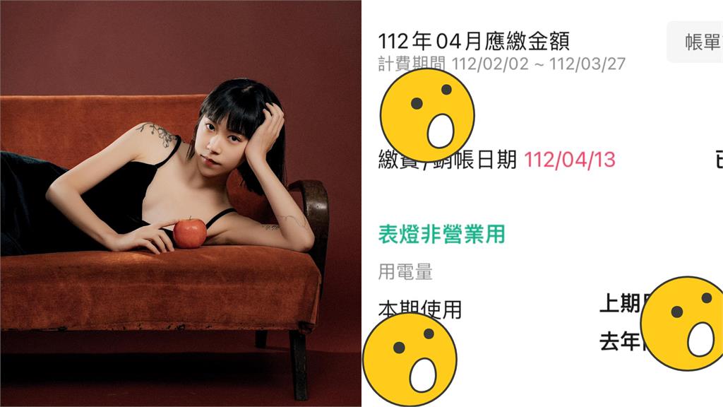 棄用冰箱2月!極簡NanaQ曬電費帳單網跪了