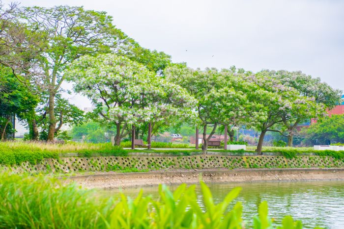 中壢內定綠塘水岸公園開幕 享受自然生態、美景 20230407161751146