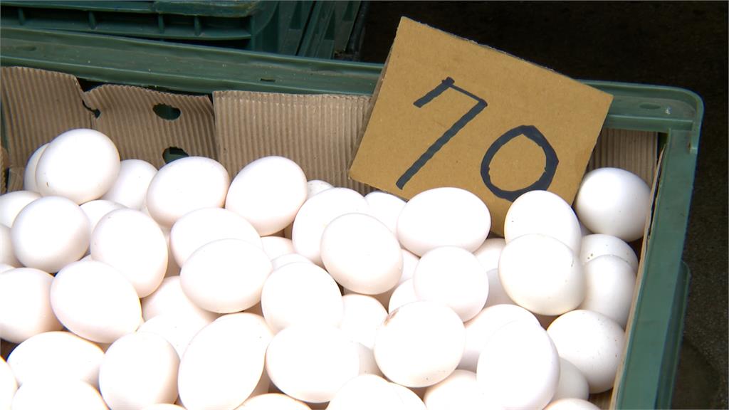 產蛋率回升近7成 白蛋每斤70元有望再降