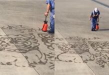 沖繩班機延誤!地勤人員「畫2隻石獅」致歉獲掌聲