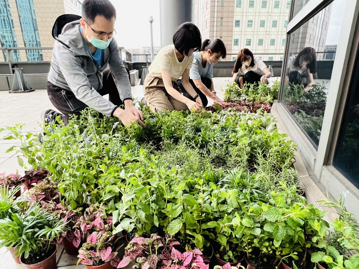 中油響應4/22世界地球日　全台100處直營加油站贈2萬株樹苗