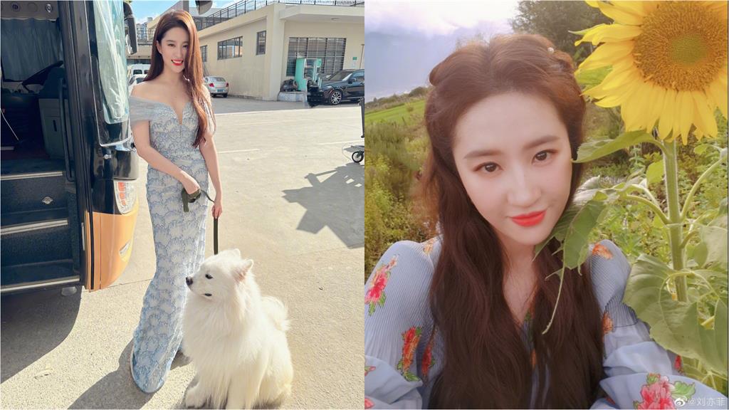 劉亦菲超級矮?「真實對比圖」流出7千萬粉嚇壞