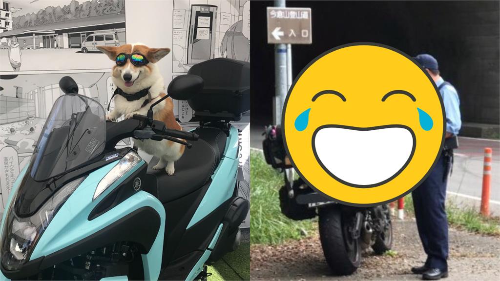 帥氣躺機車!柯基遇警察秒慫:再給一次機會…