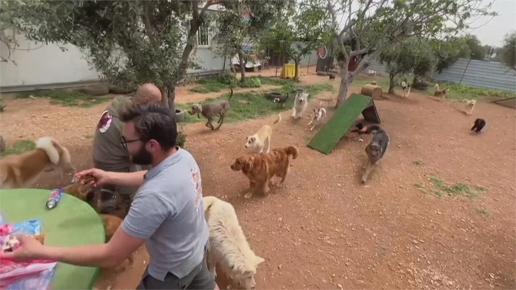 搭校車和毛孩同學慶生 來看狗狗托兒所的一天