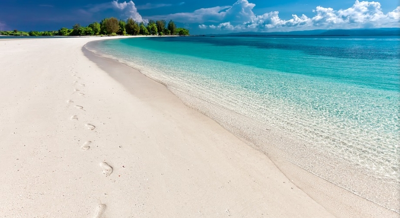 沙灘驚見海怪遺骸?模樣超詭異專家給出答案
