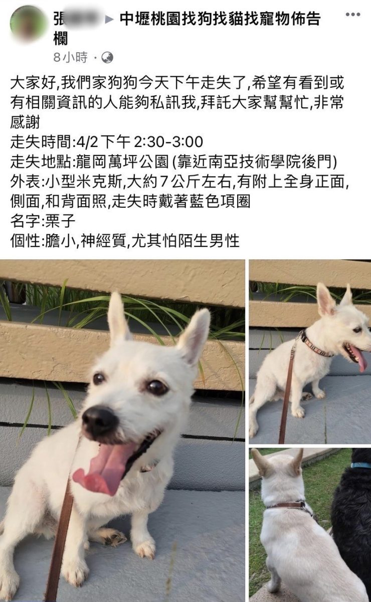 米克斯被喇叭聲嚇跑不見蹤影 熱心女警下班摸黑苦尋 S 142974998 副本 scaled