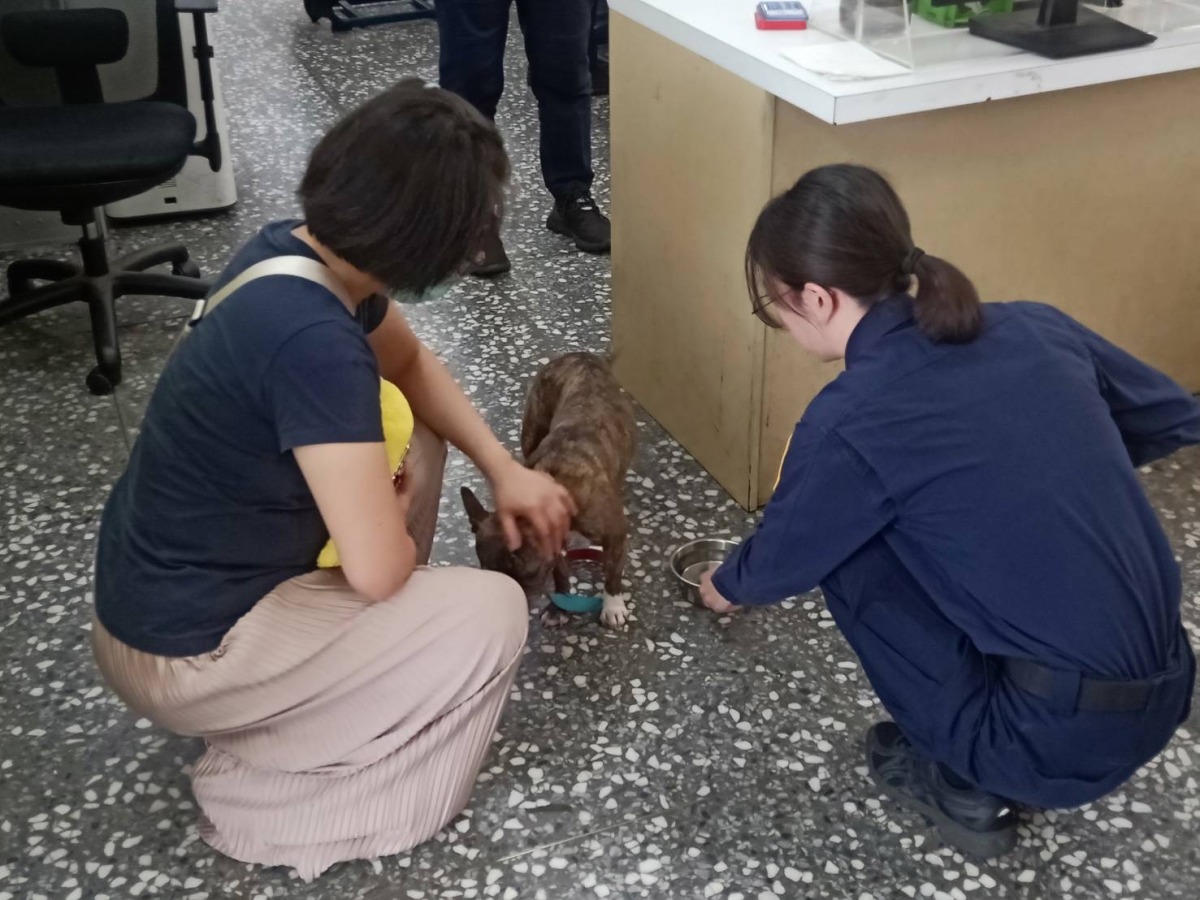 法鬥虎頭山公園迷路險中暑 龜山警民合力找主人 S 55419034