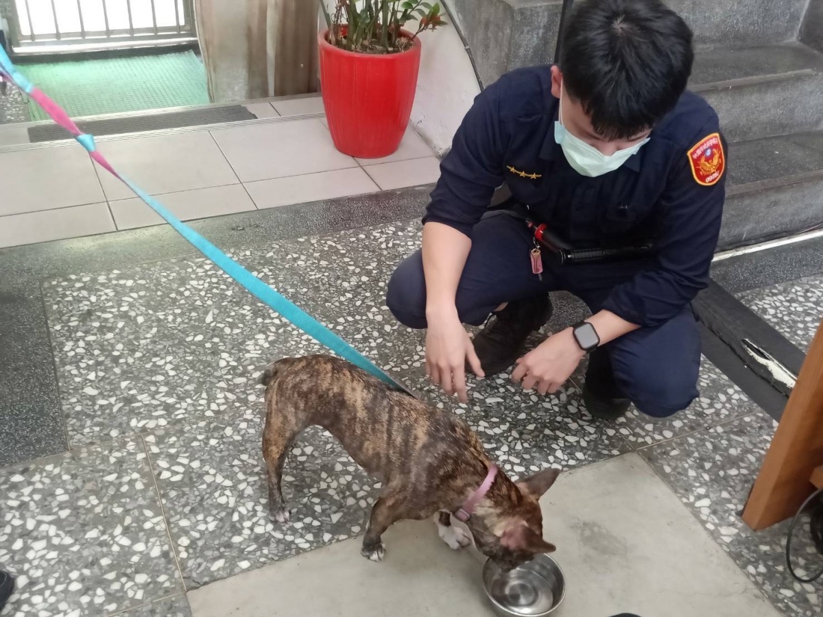 法鬥虎頭山公園迷路險中暑 龜山警民合力找主人 S 55419037