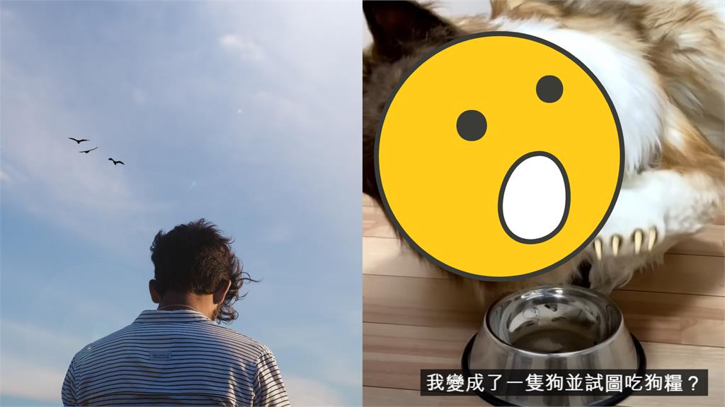 日男豪砸百萬變身「真牧羊犬」!驚人模樣網震撼