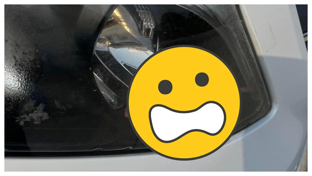 老鼠入侵車頭燈!毫無動靜不知「鼠」活