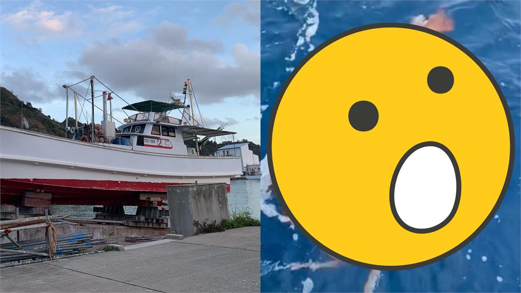 日本漁夫罕釣4公尺「深海大王魷魚」!超鮮豔活體震撼全網