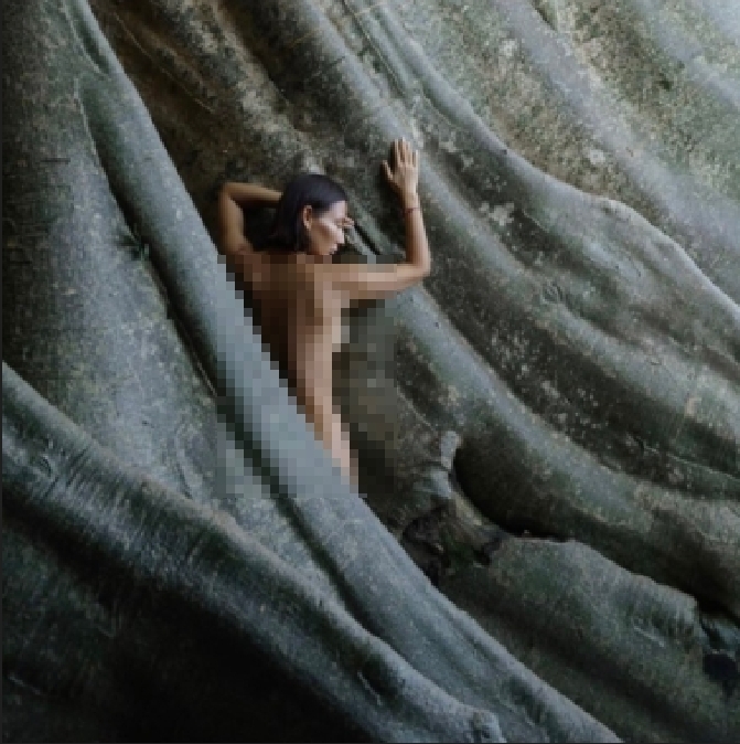 女網紅「裸身」依偎峇里島聖樹拍照!惹怒當地人