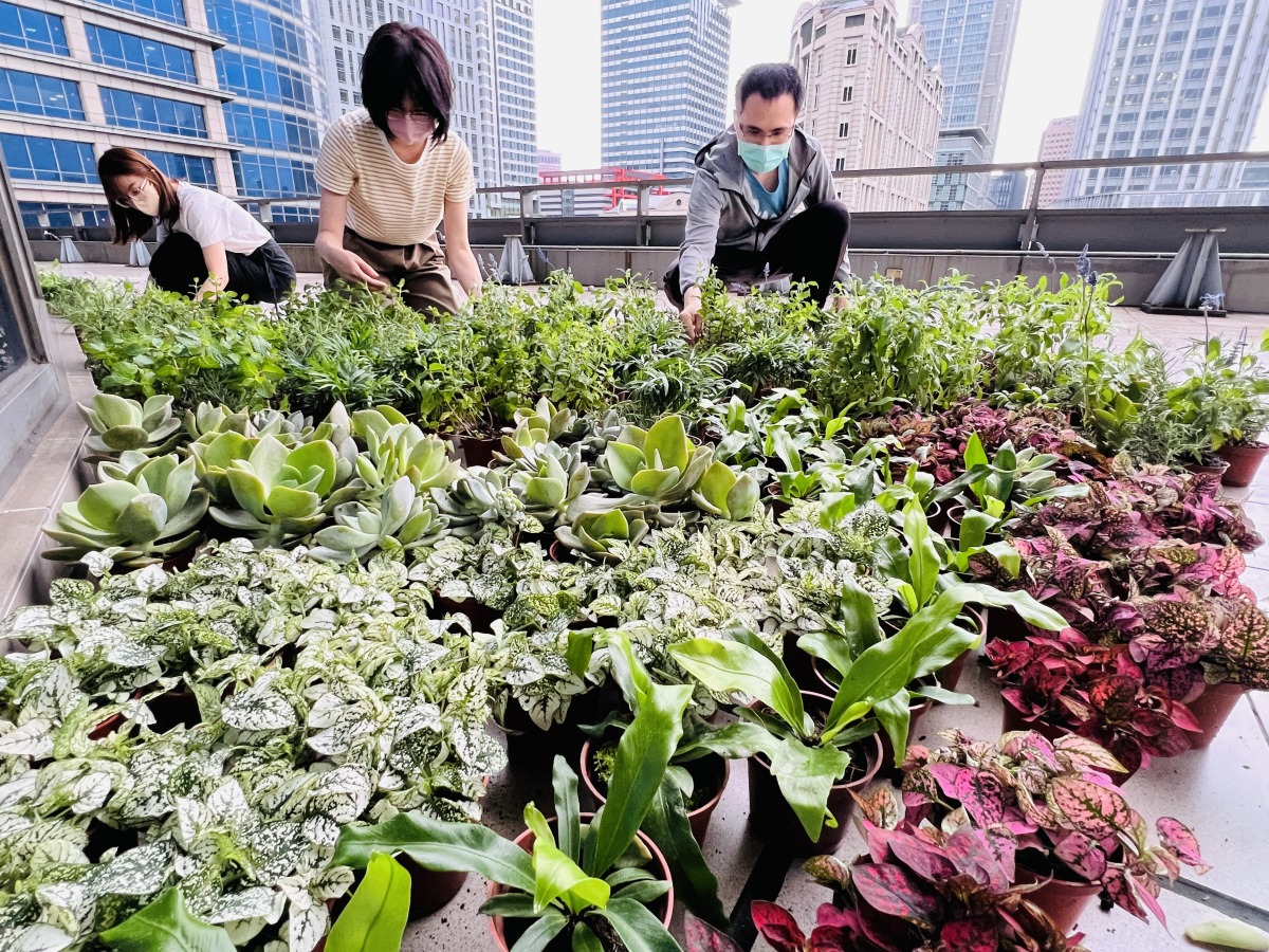 中油響應4/22世界地球日　全台100處直營加油站贈2萬株樹苗