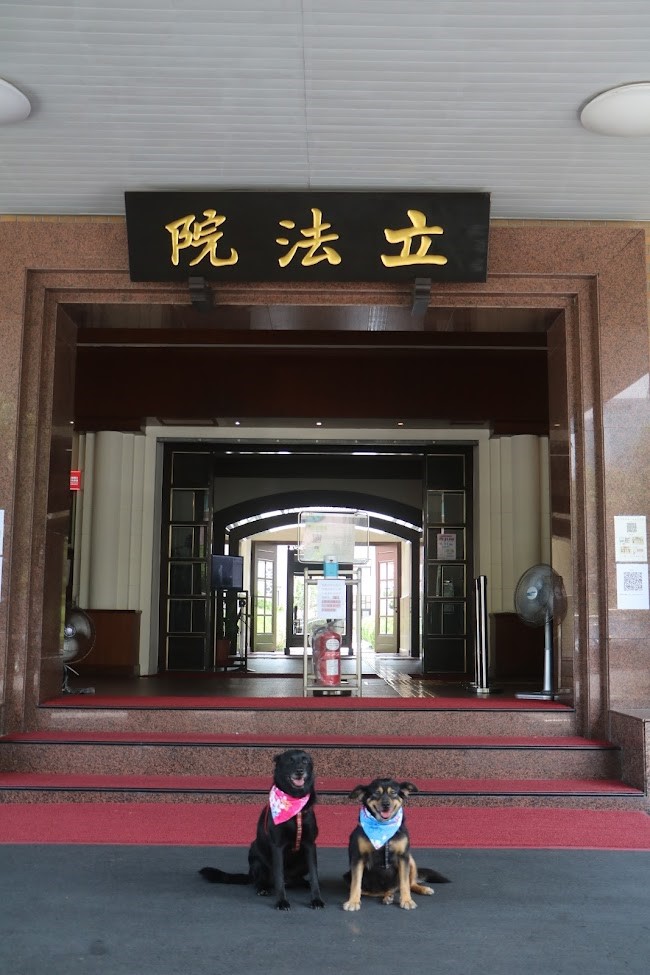 桃園動保處「校犬出任務」 學童認識生命教育 獲得「全國優良校犬」的龍岡國小校犬「來瘋」、「來玩」