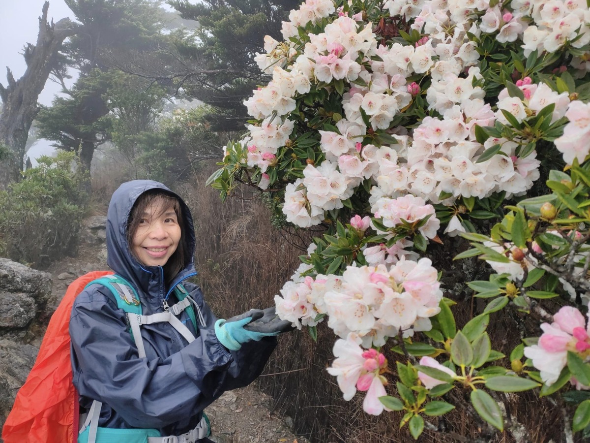 【桃園文選】南疆聖嶽北大武 15