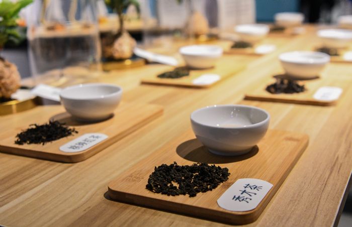 「陶茶百味」藝術展即起至6/1登場 看見桃園茶產業、陶藝特色 20230512172925374