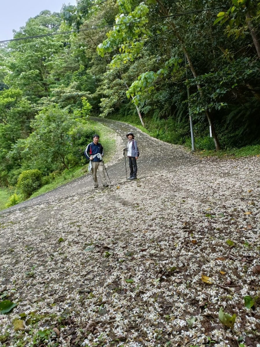 【桃園文選】落紅不是無情物 4 scaled