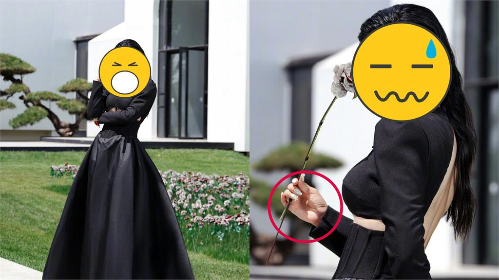 小燕子出事了!擅拔美術館「水晶玫瑰」拍照遭砲