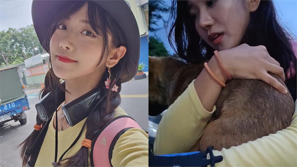 企鵝妹遇流浪幼犬急搶救!畫面感動2萬人:南韓媽祖
