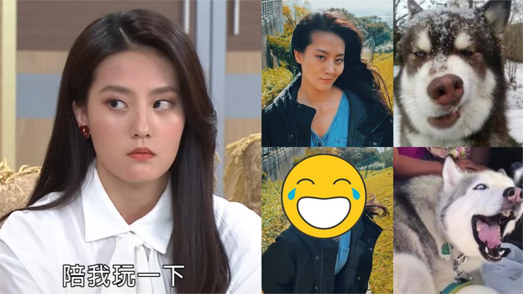 《市井豪門》女星模仿哈士奇!臉全變形畫面曝