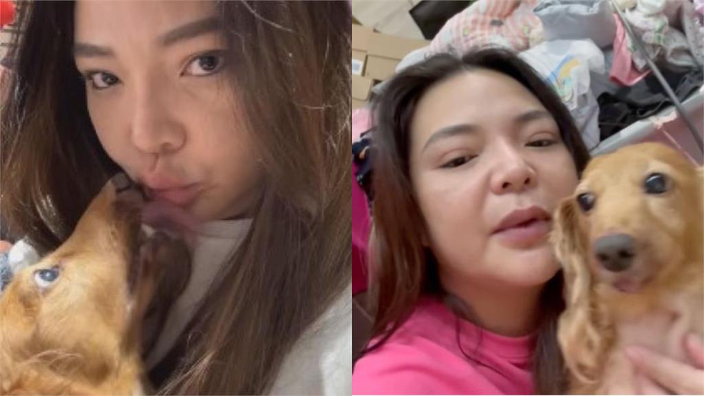 小甜甜承認說謊!突發道歉文坦承3點:狗是我用傷的