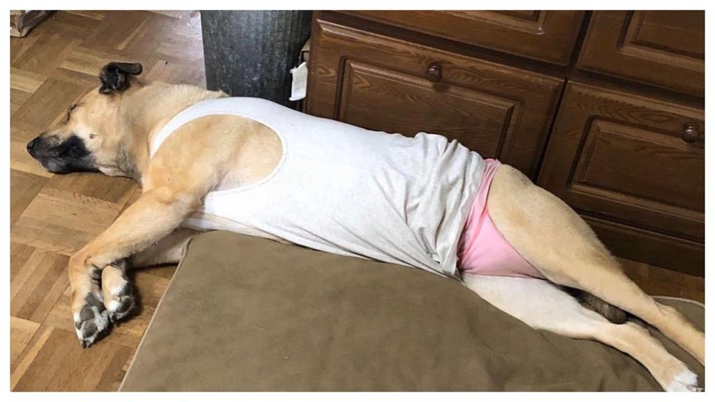 米克斯「白吊嘎+粉紅褲」大叔味飄出!背後真相藏辛酸