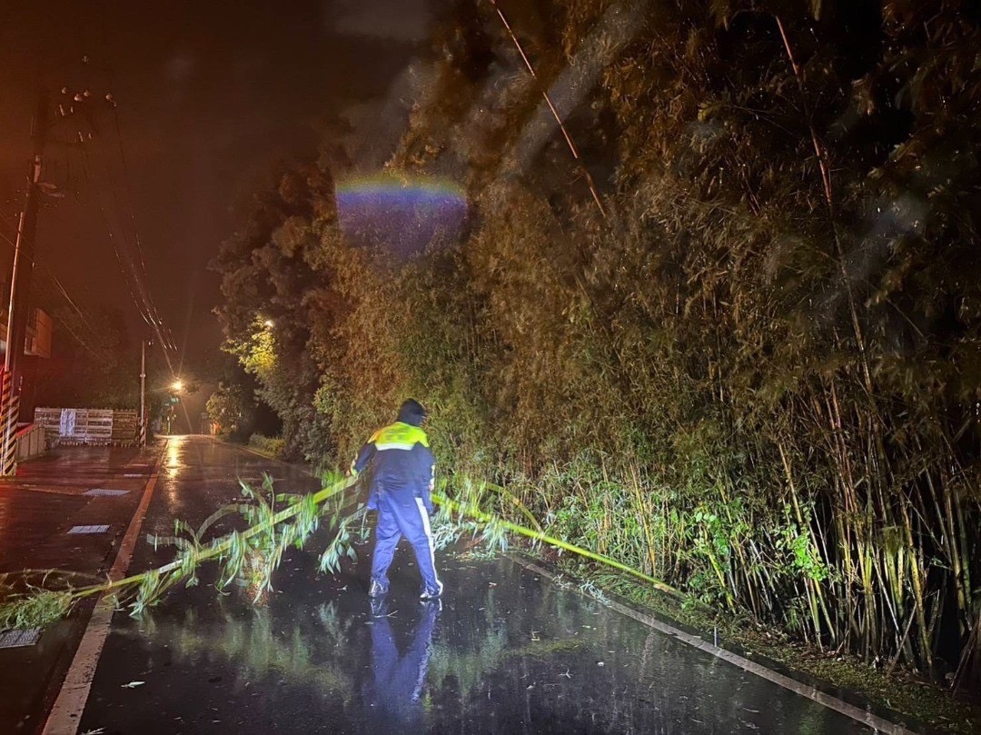 大雨釀竹林倒塌 龍潭警摸黑管制交通 S 3981486