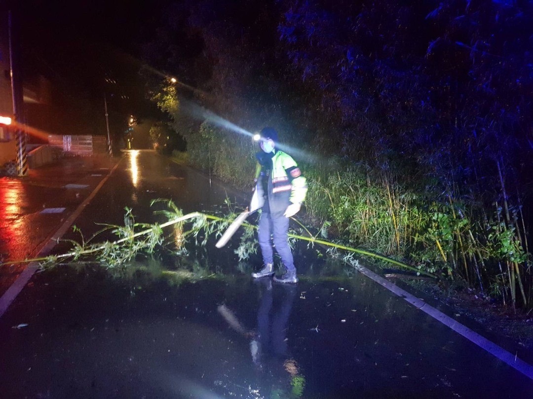 大雨釀竹林倒塌 龍潭警摸黑管制交通 S 3981489