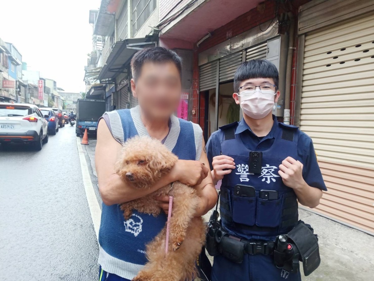 龜山男「犬子」走失焦慮難眠 求警協尋順利團圓 S 60227587