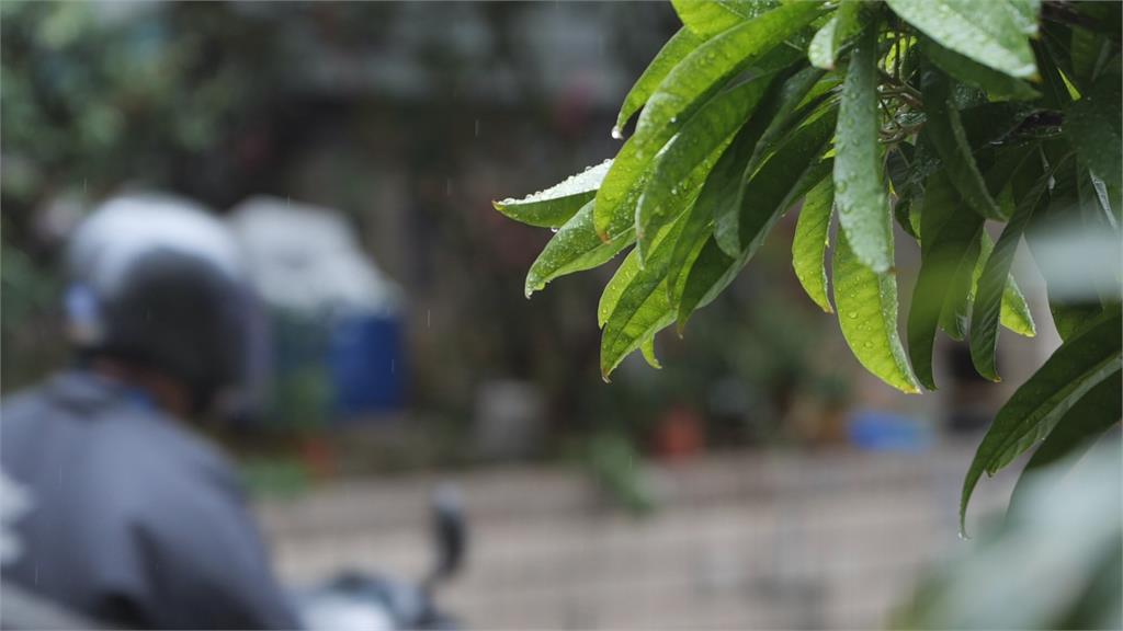 全台酸雨監測「新竹pH值5.29」 擠下4年榜首中壢