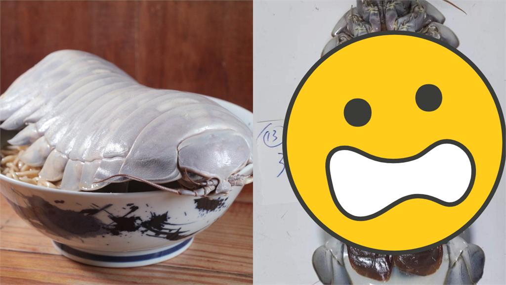 大王具足蟲太紅!名廚曬出「翻身照」:燃起料理魂