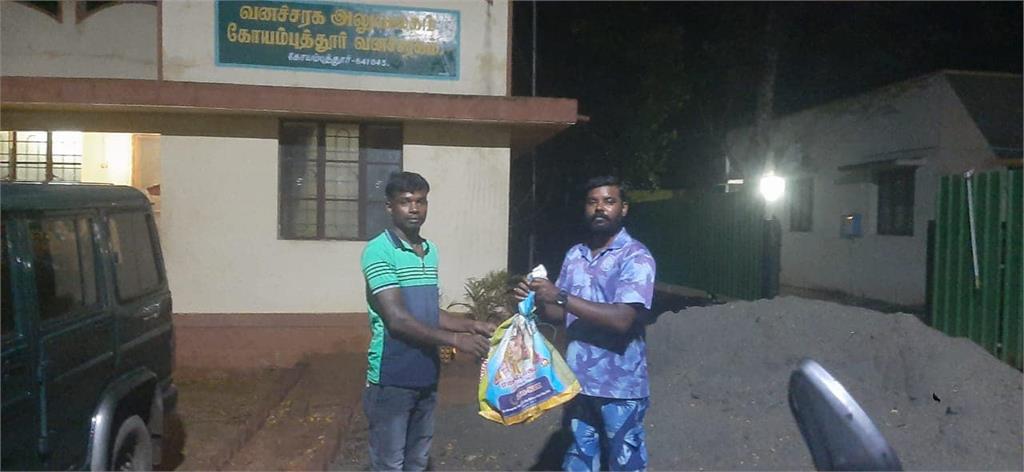 仙氣白蛇現蹤入侵民宅 專家揭曉身分可奪人命